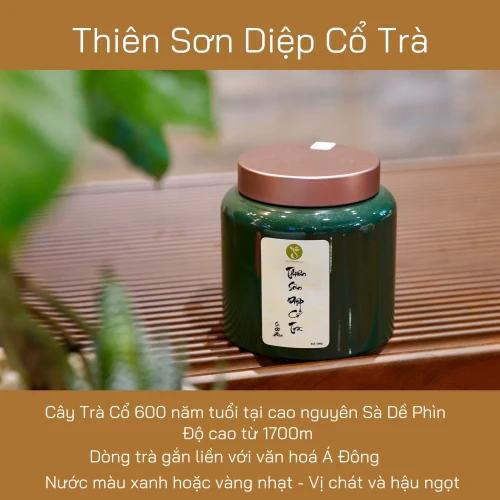 Thiên Sơn Diệp Cổ Trà 100g